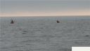 Filename=attachID_1538_postID_12371_duf15.jpg
Filesize=50KiB
Dimensions=800x450
Date added=Dec 02, 2016 attachID_1538_postID_12371_duf15.jpg