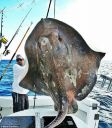 Filename=attachID_1616_postID_12840_0000FISH02.jpg
Filesize=104KiB
Dimensions=550x624
Date added=Dec 02, 2016 attachID_1616_postID_12840_0000FISH02.jpg