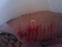 Filename=attachID_1620_postID_12890_microMsg_1383174102297.jpg
Filesize=922KiB
Dimensions=2592x1944
Date added=Dec 02, 2016 attachID_1620_postID_12890_microMsg_1383174102297.jpg
