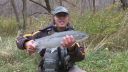 Filename=attachID_184_postID_1288_STeelHead_1_s.jpg
Filesize=490KiB
Dimensions=615x346
Date added=Dec 02, 2016 attachID_184_postID_1288_STeelHead_1_s.jpg
