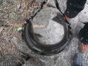 Filename=attachID_1967_postID_15228_DSCF2796.JPG
Filesize=332KiB
Dimensions=800x600
Date added=Dec 02, 2016 attachID_1967_postID_15228_DSCF2796.JPG