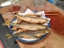 Filename=attachID_2344_postID_17937_IMG_1729-1.jpg
Filesize=321KiB
Dimensions=980x735
Date added=Dec 02, 2016 attachID_2344_postID_17937_IMG_1729-1.jpg