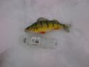 attachID_2372_postID_18010_IMG-20131221-00029.jpg