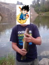 Filename=attachID_260_postID_2053_pigu.png
Filesize=432KiB
Dimensions=473x614
Date added=Dec 02, 2016 attachID_260_postID_2053_pigu.png
