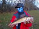 Filename=attachID_947_postID_7625_WALLEYE03a.jpg
Filesize=95KiB
Dimensions=640x480
Date added=Dec 02, 2016 attachID_947_postID_7625_WALLEYE03a.jpg