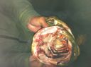 Filename=attachID_970_postID_4724_ahua5.jpg
Filesize=129KiB
Dimensions=1037x774
Date added=Dec 02, 2016 attachID_970_postID_4724_ahua5.jpg