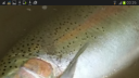 Filename=attachID_10026_postID_93720_Screenshot_2014-12-15-03-26-32.png
Filesize=527KiB
Dimensions=1200x675
Date added=Dec 02, 2016 attachID_10026_postID_93720_Screenshot_2014-12-15-03-26-32.png