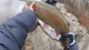 Filename=attachID_10034_postID_93760_rainbow6.jpg
Filesize=140KiB
Dimensions=1200x675
Date added=Dec 02, 2016 attachID_10034_postID_93760_rainbow6.jpg