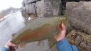 Filename=attachID_10035_postID_93760_rainbow2.jpg
Filesize=104KiB
Dimensions=1200x675
Date added=Dec 02, 2016 attachID_10035_postID_93760_rainbow2.jpg
