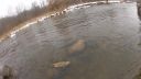 Filename=attachID_10038_postID_93764_rainbow3.jpg
Filesize=113KiB
Dimensions=1200x675
Date added=Dec 02, 2016 attachID_10038_postID_93764_rainbow3.jpg