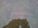 Filename=attachID_10156_postID_94712_20141215_115823.jpg
Filesize=58KiB
Dimensions=1200x899
Date added=Dec 02, 2016 attachID_10156_postID_94712_20141215_115823.jpg