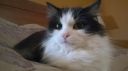 Filename=attachID_10380_postID_96209_WP_20141021_015.jpg
Filesize=59KiB
Dimensions=1200x673
Date added=Dec 02, 2016 attachID_10380_postID_96209_WP_20141021_015.jpg
