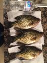 Filename=attachID_10449_postID_96679_image.jpg
Filesize=175KiB
Dimensions=900x1200
Date added=Dec 02, 2016 attachID_10449_postID_96679_image.jpg