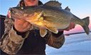 Filename=attachID_10738_postID_99193_eye_lure.jpg
Filesize=143KiB
Dimensions=1117x685
Date added=Dec 02, 2016 attachID_10738_postID_99193_eye_lure.jpg