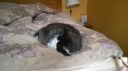 Filename=attachID_11005_postID_101985_a2.jpg
Filesize=75KiB
Dimensions=1200x674
Date added=Dec 02, 2016 attachID_11005_postID_101985_a2.jpg
