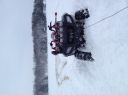 Filename=attachID_11042_postID_102390_IMG_24615B15D.JPG
Filesize=95KiB
Dimensions=1200x899
Date added=Dec 02, 2016 attachID_11042_postID_102390_IMG_24615B15D.JPG