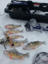 Filename=attachID_11117_postID_103208_13.png
Filesize=526KiB
Dimensions=553x736
Date added=Dec 02, 2016 attachID_11117_postID_103208_13.png