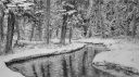 Filename=attachID_11319_postID_105439_creditriver.jpg
Filesize=191KiB
Dimensions=900x504
Date added=Dec 02, 2016 attachID_11319_postID_105439_creditriver.jpg