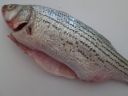 Filename=attachID_11422_postID_106444_striper.jpg
Filesize=141KiB
Dimensions=1120x840
Date added=Dec 02, 2016 attachID_11422_postID_106444_striper.jpg