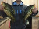 Filename=attachID_11446_postID_106582_crappie.jpg
Filesize=117KiB
Dimensions=1200x899
Date added=Dec 02, 2016 attachID_11446_postID_106582_crappie.jpg
