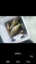 Filename=attachID_11502_postID_106993_Screenshot_2015-02-21-23-27-10.png
Filesize=309KiB
Dimensions=675x1200
Date added=Dec 02, 2016 attachID_11502_postID_106993_Screenshot_2015-02-21-23-27-10.png
