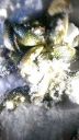 Filename=attachID_11532_postID_107284_mmexport1424660197420.jpg
Filesize=65KiB
Dimensions=453x800
Date added=Dec 02, 2016 attachID_11532_postID_107284_mmexport1424660197420.jpg