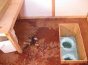 Filename=attachID_11553_postID_107628_hut2.jpg
Filesize=146KiB
Dimensions=1058x793
Date added=Dec 02, 2016 attachID_11553_postID_107628_hut2.jpg