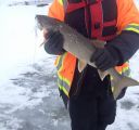 attachID_12202_postID_113491_image.jpg