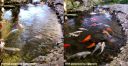 attachID_12405_postID_115674_fishing.jpg