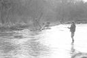 attachID_13101_postID_122010_DSC01589.JPG