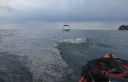 attachID_13840_postID_129041_3.jpg