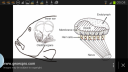 attachID_13865_postID_129267_Screenshot_2015-05-31-09-04-12.png