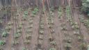attachID_13879_postID_129403_IMAG2267.jpg