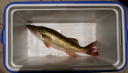 attachID_14099_postID_131562_2015-06-11_23-07-56.png