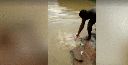 attachID_15696_postID_151789_201508311525455fb3f.gif