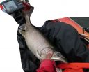 attachID_16366_postID_157050_2.jpg