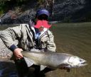 attachID_16462_postID_158028_Howtohandlefish_3.jpg