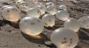 Filename=attachID_17384_postID_166514_luan_chao.jpg
Filesize=64KiB
Dimensions=640x346
Date added=Dec 02, 2016 attachID_17384_postID_166514_luan_chao.jpg
