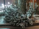 Filename=attachID_17457_postID_167113_5.jpg
Filesize=215KiB
Dimensions=1120x840
Date added=Dec 02, 2016 attachID_17457_postID_167113_5.jpg