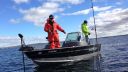 Filename=attachID_17465_postID_167150_image.jpg
Filesize=218KiB
Dimensions=1136x640
Date added=Dec 02, 2016 attachID_17465_postID_167150_image.jpg