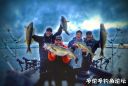 Filename=attachID_17739_postID_168681_eye9.jpg
Filesize=71KiB
Dimensions=1000x679
Date added=Dec 02, 2016 attachID_17739_postID_168681_eye9.jpg