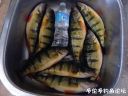 Filename=attachID_17793_postID_168876_image.jpg
Filesize=110KiB
Dimensions=1000x750
Date added=Dec 02, 2016 attachID_17793_postID_168876_image.jpg