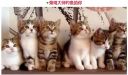 Filename=attachID_17907_postID_170084__00c.jpg
Filesize=56KiB
Dimensions=559x328
Date added=Dec 02, 2016 attachID_17907_postID_170084__00c.jpg