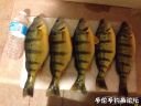 Filename=attachID_17965_postID_170204_image.jpg
Filesize=100KiB
Dimensions=1000x750
Date added=Dec 02, 2016 attachID_17965_postID_170204_image.jpg