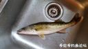 Filename=attachID_18010_postID_170583_20151214_140231.jpg
Filesize=78KiB
Dimensions=1000x562
Date added=Dec 02, 2016 attachID_18010_postID_170583_20151214_140231.jpg