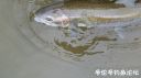 Filename=attachID_18011_postID_170583_20151214_112301.jpg
Filesize=59KiB
Dimensions=1000x562
Date added=Dec 02, 2016 attachID_18011_postID_170583_20151214_112301.jpg
