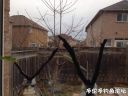 Filename=attachID_18047_postID_170897_photo228229.jpg
Filesize=109KiB
Dimensions=1000x750
Date added=Dec 02, 2016 attachID_18047_postID_170897_photo228229.jpg