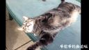 Filename=attachID_18053_postID_171005_image.jpg
Filesize=69KiB
Dimensions=1000x563
Date added=Dec 02, 2016 attachID_18053_postID_171005_image.jpg