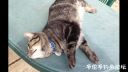Filename=attachID_18054_postID_171005_image.jpg
Filesize=71KiB
Dimensions=1000x563
Date added=Dec 02, 2016 attachID_18054_postID_171005_image.jpg