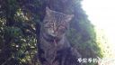 Filename=attachID_18055_postID_171005_image.jpg
Filesize=86KiB
Dimensions=1000x563
Date added=Dec 02, 2016 attachID_18055_postID_171005_image.jpg
